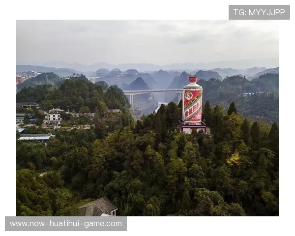 茅台镇投资环境再受质疑，8亿建厂被强行接管，茅台镇官方网站